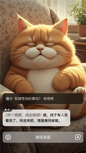 他她它app