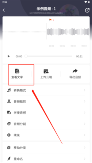 松鼠录音转文字