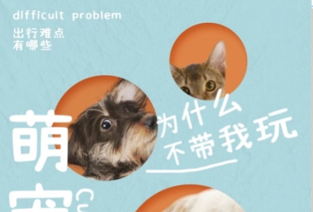 怎么用GPT4o生成宠物旅行照片