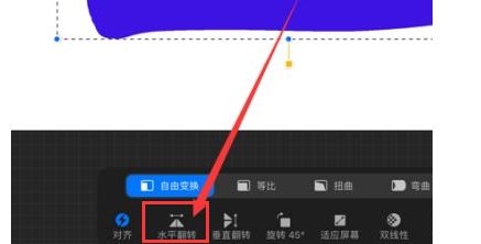 procreate镜像功能在哪