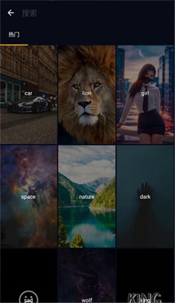 wallcraft壁纸软件中文截图3