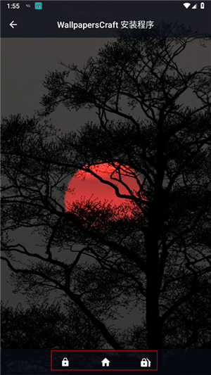 wallcraft中文版2025