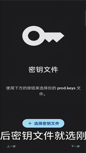 sudachi汉化版截图3