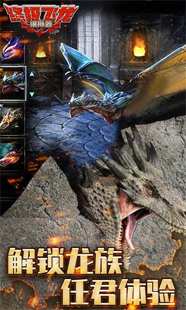 终极飞龙模拟器截图3