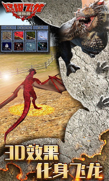 终极飞龙模拟器截图4