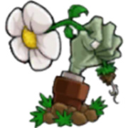 植物大战僵尸锤版