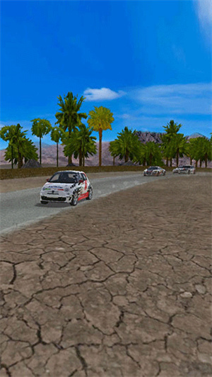 极速拉力赛车截图2