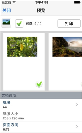 趣打印12.15.00高级版