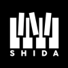 Shida自动弹琴