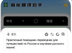 屏幕翻译软件