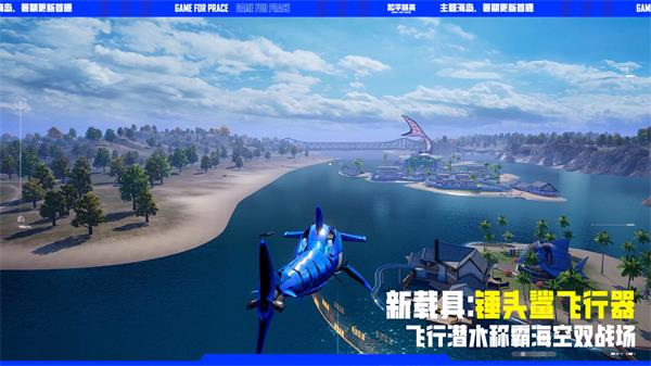 和平精英测试服