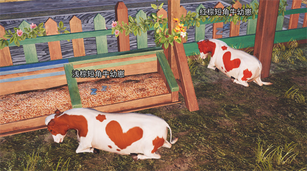 明日之后共创服官服版