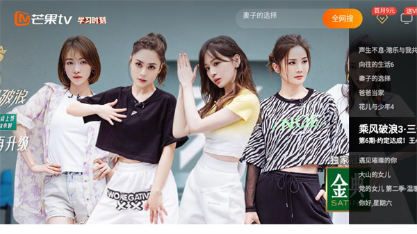 艾蒙顿浏览器tv版