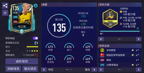 FC足球世界国际服