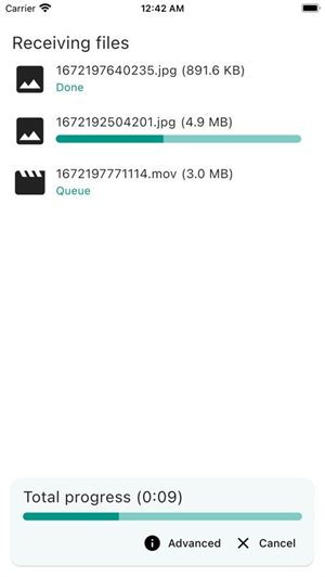 LocalSend手机版截图1