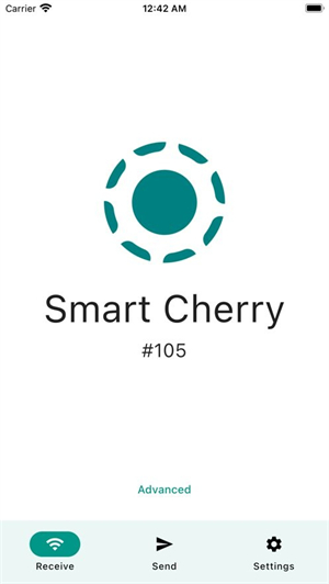 LocalSend手机版截图3