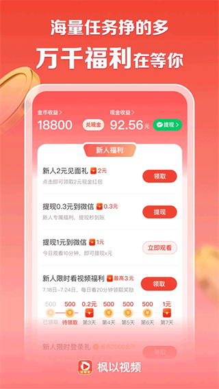 枫以视频截图3