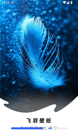飞羽壁纸