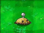 植物大战僵尸老版本