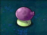 植物大战僵尸老版本