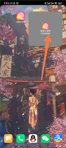 鲸鱼小组件(Whale Widget)