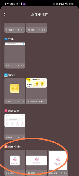 鲸鱼小组件(Whale Widget)