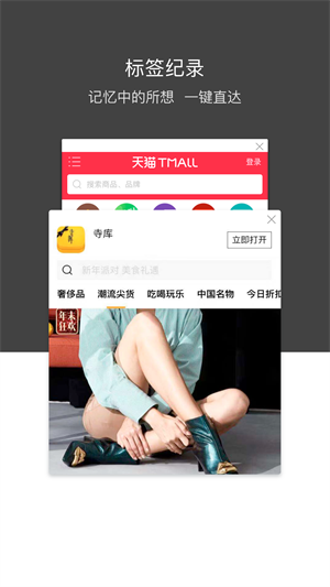 绿叶浏览器截图3