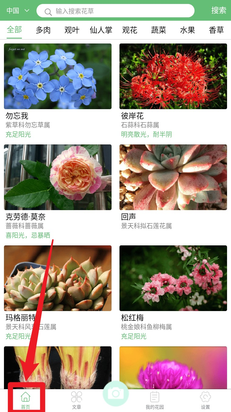东篱花草