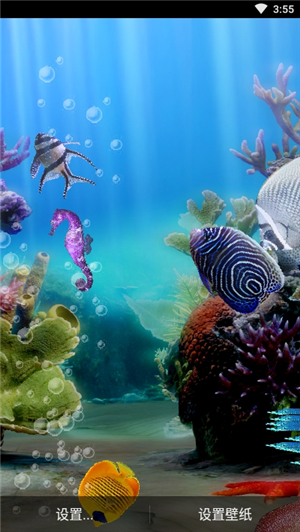 水族馆动态壁纸