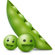 老豆荚
