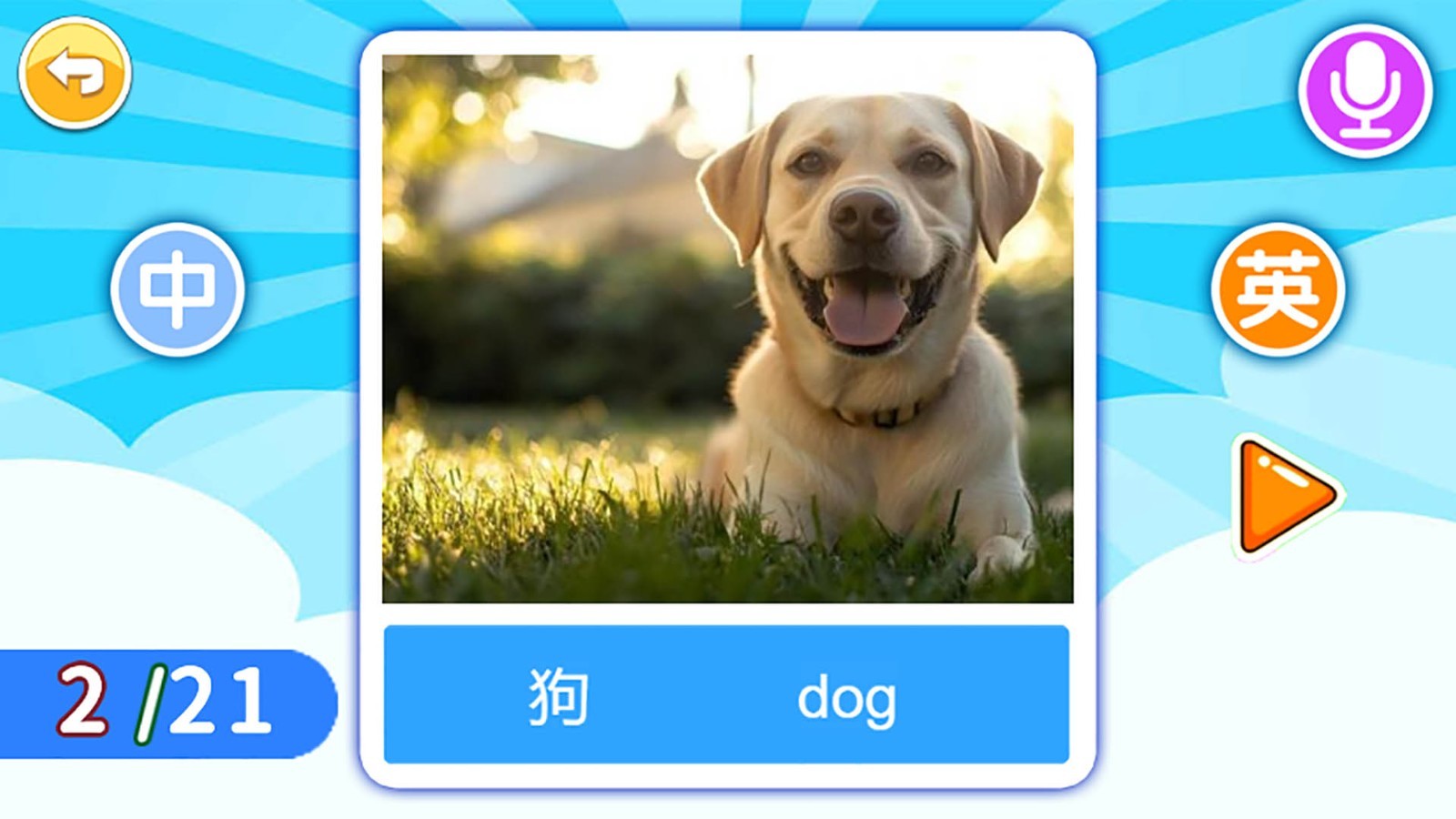 宝宝英语启蒙截图4