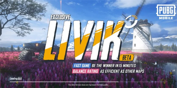 和平精英(国际服)