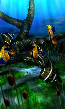 水族馆动态壁纸汉化版截图1