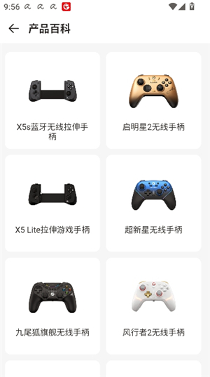 盖世小鸡游戏世界