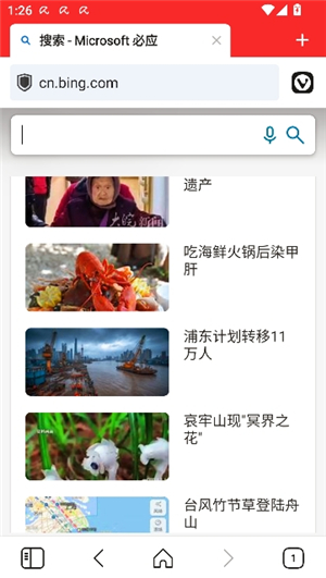 vivaldi浏览器v2.7.1624.163版本