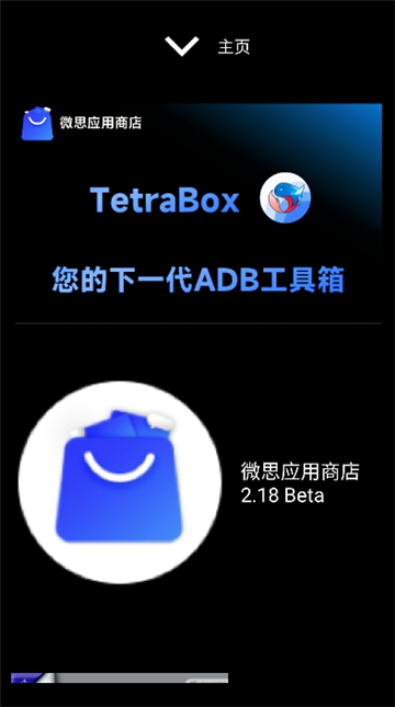 微思应用商店apk安装包手表截图1