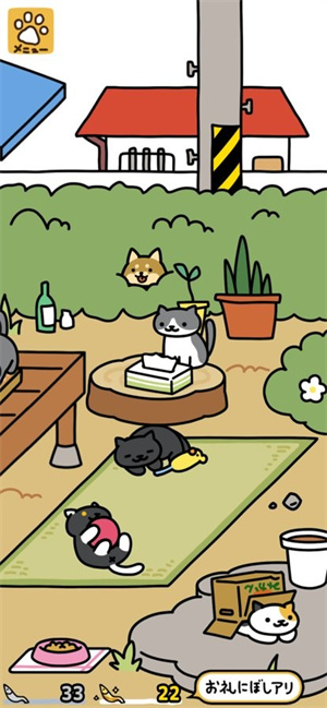 猫咪后院2截图4