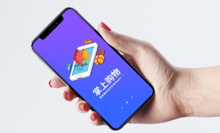 手机电商购物app
