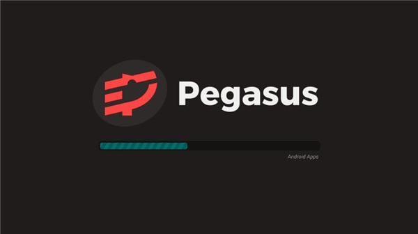 pegasus截图3
