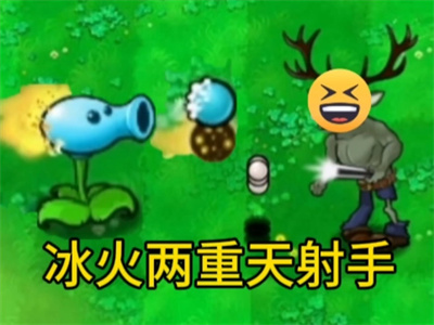 逆天版植物大战僵尸