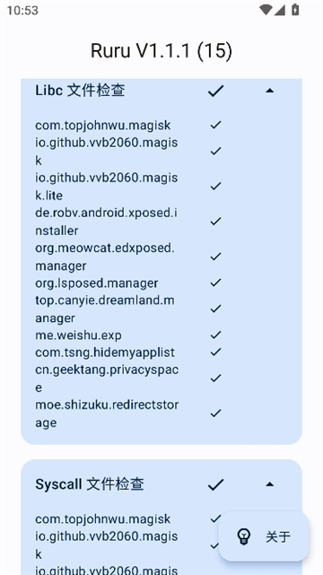 ruru环境检测截图7