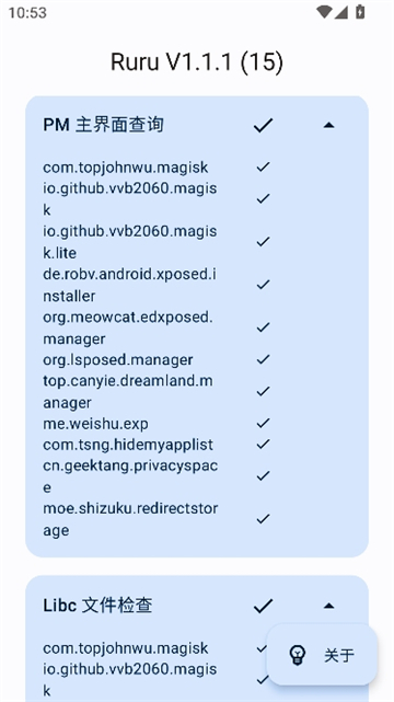 ruru环境检测截图6