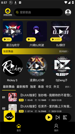 dj呦呦音乐网截图3