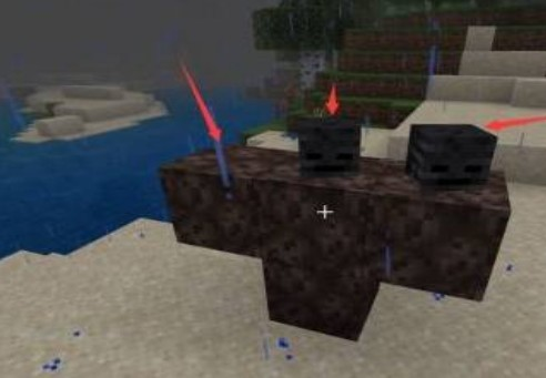 真正的凋零风暴整合包