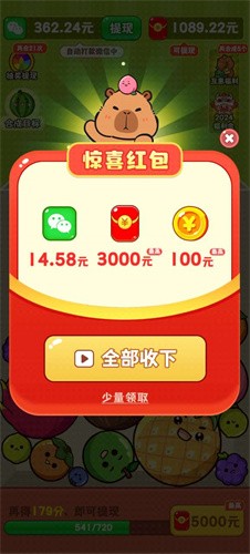 就要大西瓜截图4