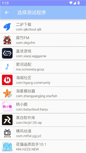 小宇弱网11.0配置参数