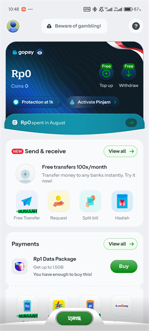 gopay钱包中文版截图1