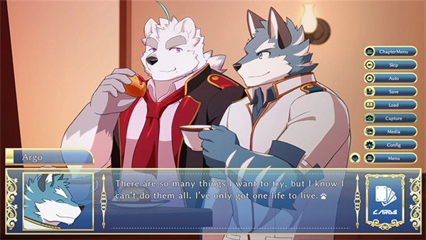 骑士学院安卓汉化版截图3