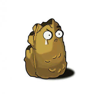 植物大战僵尸原版2010