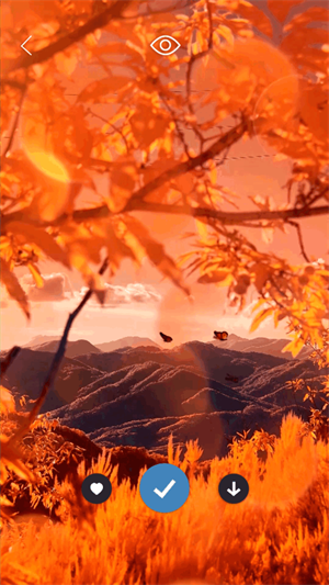 皮卡超级壁纸截图1